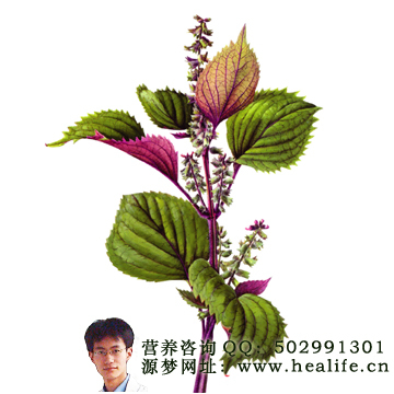 纳豆软胶囊真的有效吗？一份理性的解析